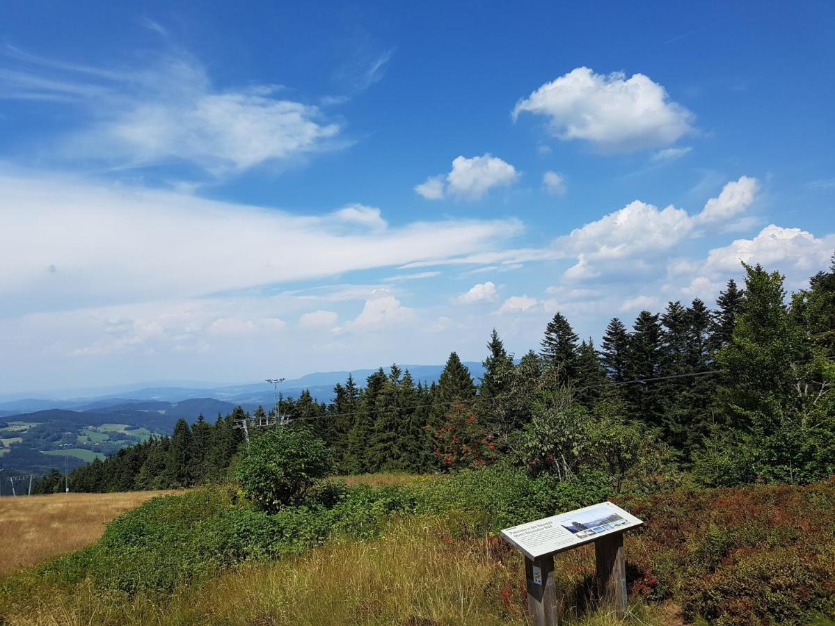 Traumurlaub Im Bayerische Wald Lejlighed Sankt Englmar Eksteriør billede