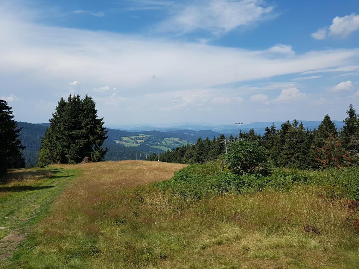 Traumurlaub Im Bayerische Wald Lejlighed Sankt Englmar Eksteriør billede