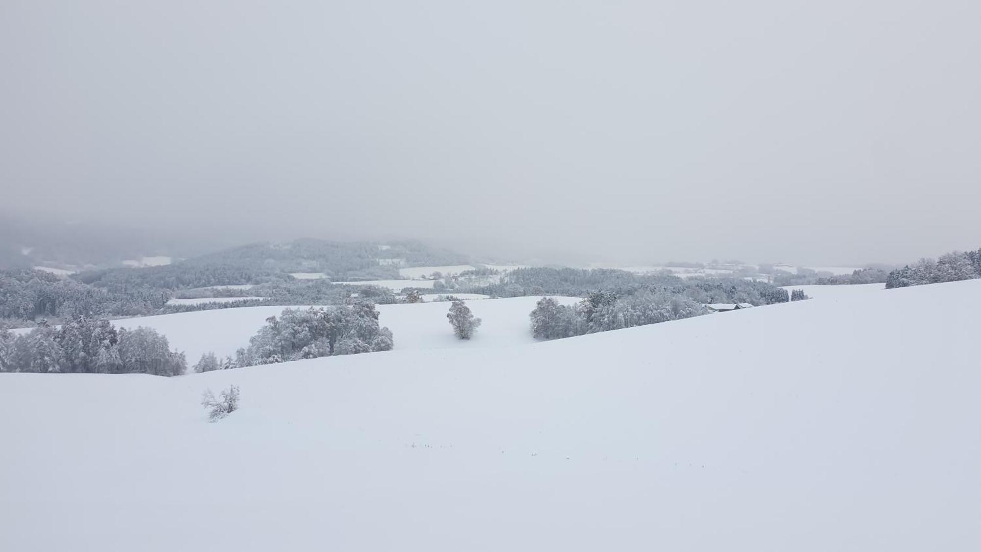 Traumurlaub Im Bayerische Wald Lejlighed Sankt Englmar Eksteriør billede