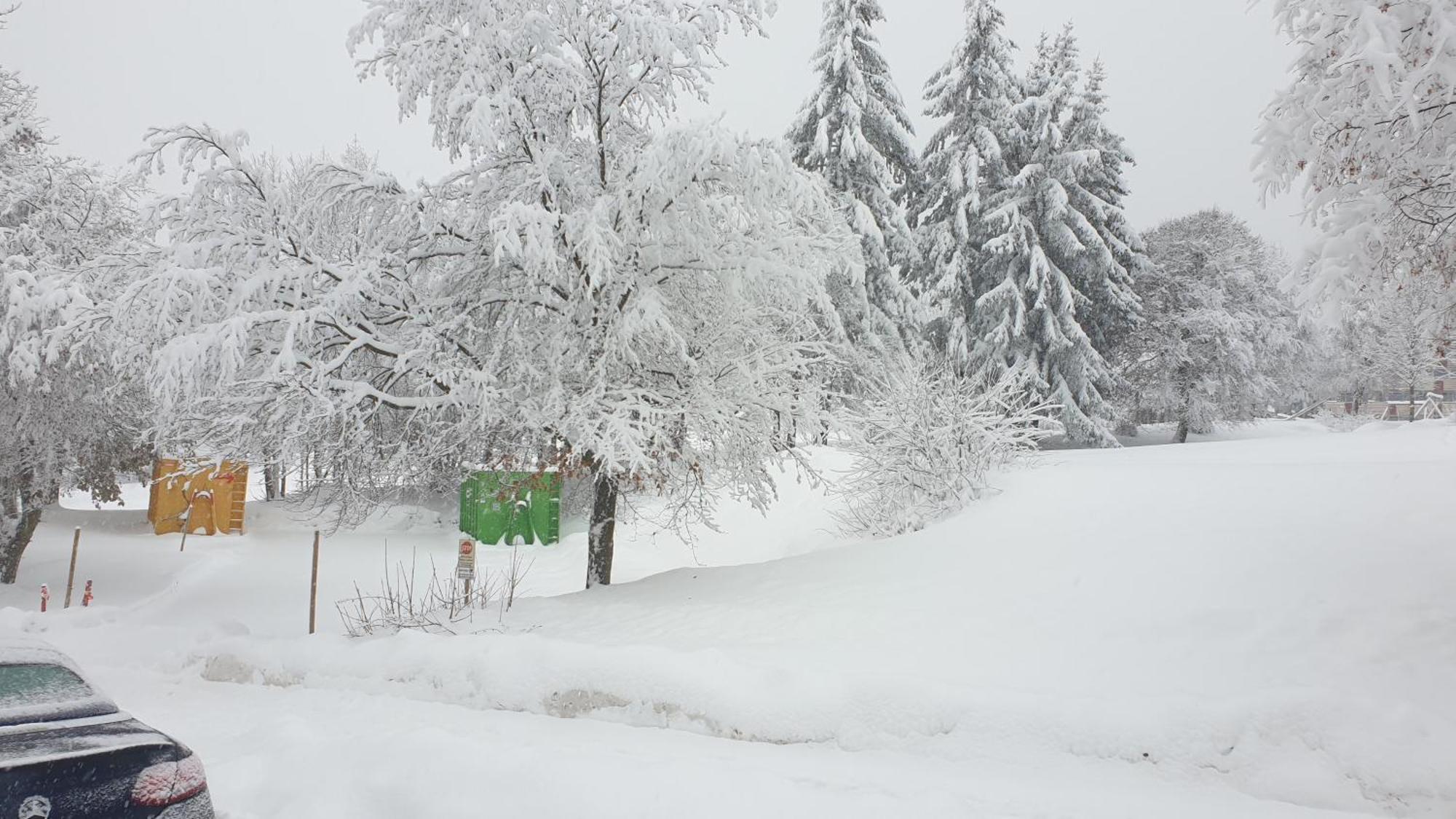 Traumurlaub Im Bayerische Wald Lejlighed Sankt Englmar Eksteriør billede